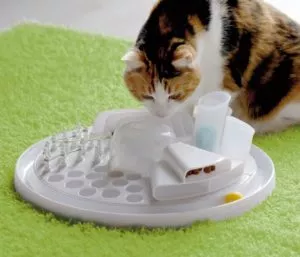Edupet Katzenspielzeug Cat Center von Bayer Design