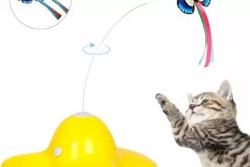 Elektrisch drehender Schmetterling – Interaktives Spinning Teaser Spielzeug für Katzen