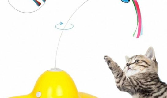 Elektrisch drehender Schmetterling – Interaktives Spinning Teaser Spielzeug für Katzen