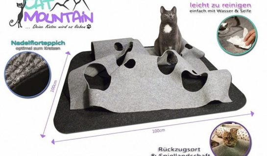 CatMountain – 2 in 1 – Katzenspielzeug und Kratzmatte in einem