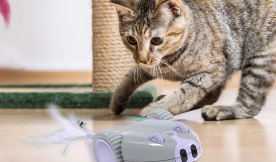Katzenspielzeug – Roboter Maus für die Katze