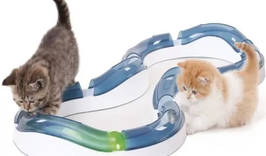 Kugelbahn für Katzen – interaktives Katzenspielzeug gegen Langeweile