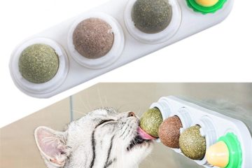 Katzenminze Ball für die Wand – Leckeres Wandspielzeug